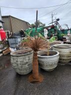 Black Boy Grass - Metal Sculpture