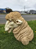 Sheep Head Fiberglass