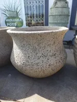 Tall  Giant  Lotus /Planter- 4 Size